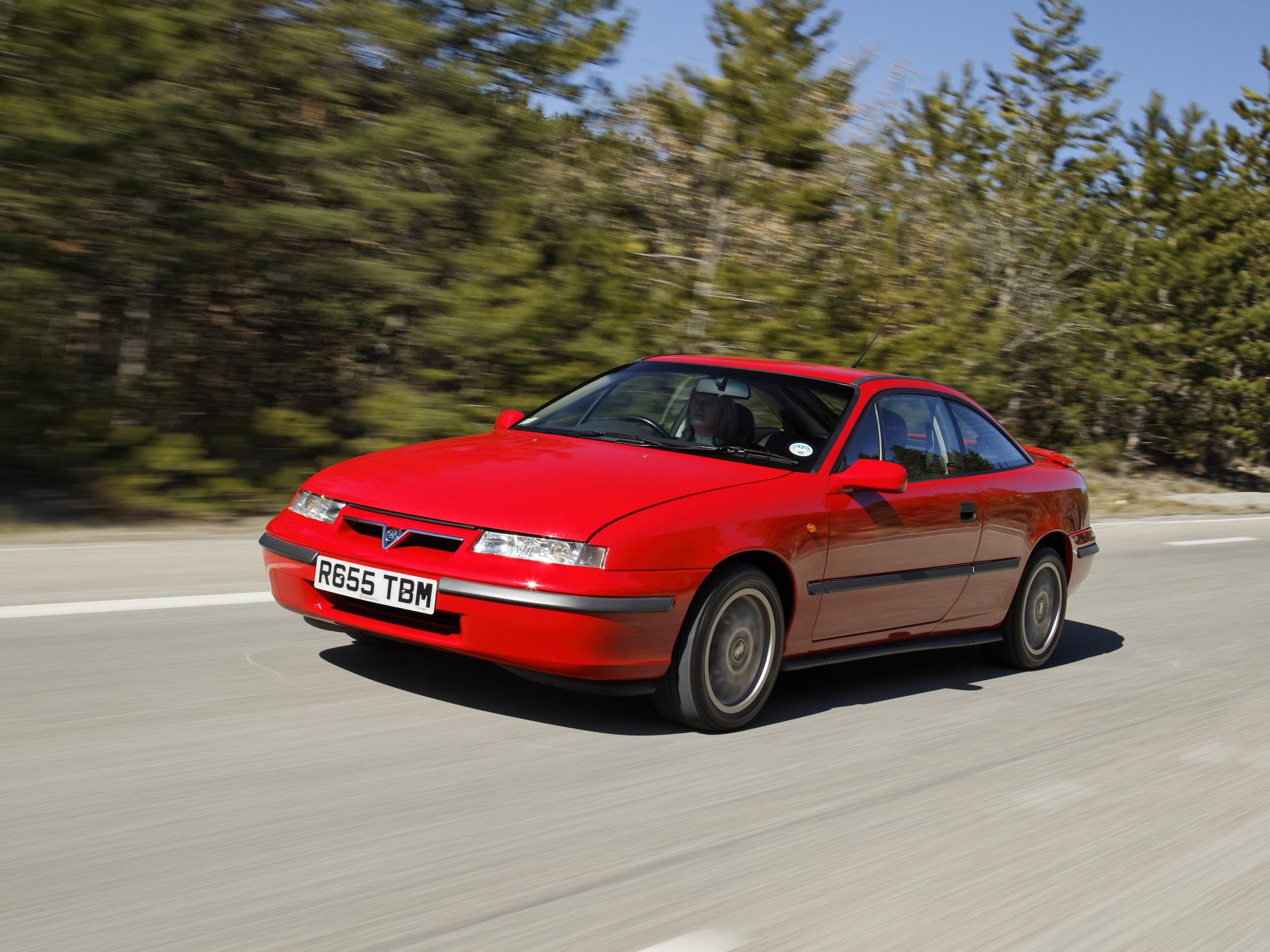 Online Collections - Details Page